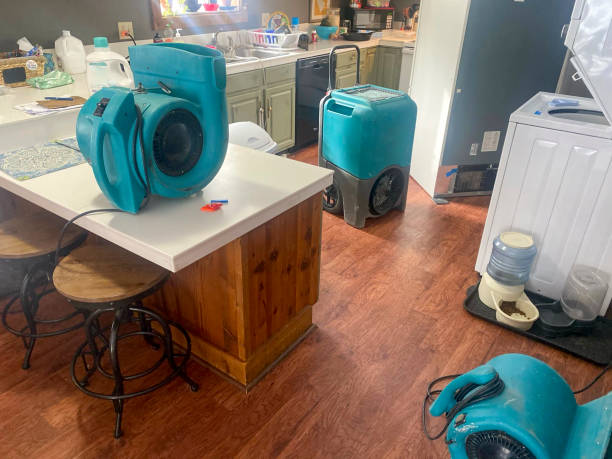 Best Basement water damage restoration  in Moscow, PA