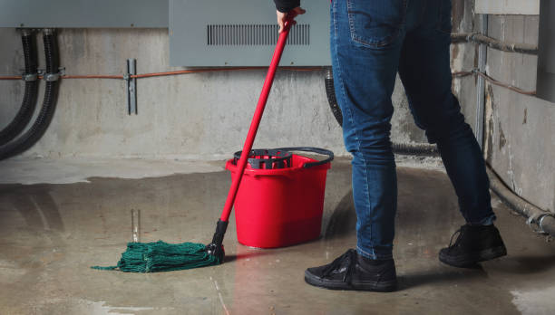Best 24-hour water damage restoration  in Moscow, PA