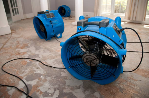 Best Flood damage cleanup  in Moscow, PA
