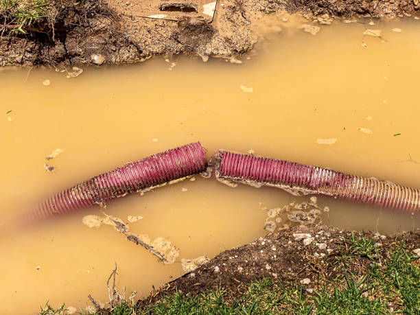 Best Flood restoration services  in Moscow, PA